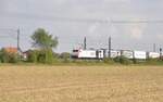 Kombiverkehr 185 665 TRAXX; 139 260-4 und 139 213-3 mit Containerzug in Neu-Ulm Pfuhl am 23.09.2011.