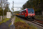 Da hat sich jemand bei der Farbgestaltung richtig gute Gedanken gemacht. Die an die RCL - Rail Cargo Logistics - Germany GmbH 185 605-3 (91 80 6185 605-3 D-ATLU) der Alpha Trains Luxembourg f�hrt am 26 Oktober 2026 mit einem leeren Langschienenzug durch Scheuerfeld/Sieg in Richtung K�ln.

Die TRAXX F140 AC2 wurde 2008 von Bombardier in Kassel unter der Fabriknummer 34226 gebaut und an die Angel Trains Cargo geliefert. Sie hat eine H�chstgeschwindigkeit von 140 km/h und die Zulassungen f�r Deutschland und �sterreich. Mietstationen waren von September 2008 die HGK - H�fen and G�terverkehr K�ln AG, K�ln wo sie als 2063 fuhr. Nach dem Zusammenschluss der HGK und der NDH zur RheinCargo GmbH & Co. KG fuhr sie f�r diese bis 2021. Von Nov. 2021 bis Nov. 2023 war sie dann bei der HLG - Holzlogistik and G�terbahn GmbH, Bebra. Seit Dezember 2023 ist sin nun bei der RCL - Rail Cargo Logistics - Germany GmbH.