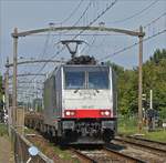 Raipool Lok 186 445 mit einem leeren Kontainergüterzug durchfährt am 30.08.2019 den Bahnhof von Zevenbergen.(Jeanny)