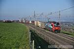 2019-02-10, SBB CFF FFS Cargo Mhlau  Locomotive lectrique Siemens Vectron   Br 193 475  [Domodossola]