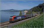An bekannter Fotostelle bei Villeneuve mit dem Ch�teau de Chillon im Hintergrund f�hrt die von SBB Cargo angemietete 193 062 (UIC 91 80 6193 062-7 D-RCM) mit einem kurzen G�terzug in Richtung Wallis.