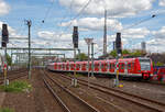 Zwei gekuppelte vierteilige ET 423 (Elektrotriebzüge der Baureihe 423) der S-Bahn Köln (betrieben durch die DB Regio AG – NRW) verlassen am 30.04.2023, als S19 nach Hennef(Sieg), den