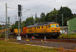 Die 233 493-6  „TIGER“ (92 80 1233 493-6 D-DB) bzw.