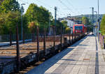 Die 187 177 (91 80 6187 177-1 D-DB) der DB Cargo AG fährt am 17 September 2024 mit einem gemischten Güterzug durch Kirchen (Sieg).