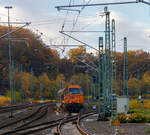 Die KSW 43 (92 80 1273 018-2 D-KSW), die asymmetrische Vossloh G 2000 BB der KSW (Kreisbahn Siegen-Wittgenstein) hat am 18.11.2022, mit ihrem Coilzug (VTG Coilwagen der Gattung Shimmns-ttu) vom Hafen