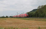 1462 033 als RE 20 4787 Würzburg - Bamberg - Nürnberg bei Zeil am Main.