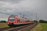 Am 09.09.2017 war 430 135 als führendes Triebfahrzeug der S7 unterwegs und erreicht in Kürze den Haltepunkt Groß Gerau-Dornheim.
