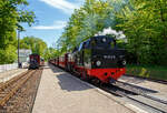 Von April bis Oktober fährt die RB 31 „Bäderbahn Molli“ im Stundentakt (alle 60 min), so findet dann im Bahnhof Heiligendamm die Zugkreuzung statt.