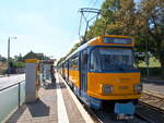 Straßenbahn / Stadtverkehr; Leipzig;     T 4D-M1 Nr.2126 und 2116 von CKD Tatra Baujahr 1984 und NB 4 Nr.914 von Bombardier Baujahr 2000 bei der Haltestelle Völkerschlachtdenkmal in Leipzig am 23.07.2019.