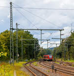 Zweigekuppelte ET 427 (423 192 /423 692 und 423 055/423 555) der S-Bahn Köln erreichen am 27.08.2023 als S 12 den Zielbahnhof Au (Sieg).