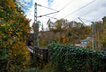 Blick und Durchblick auf/durch den 32 m lange Mühlburg-Tunnel bei km 74,4 der Siegstrecke (KBS 460) in Scheuerfeld/Sieg am 18 Oktober 2025. Davor die Brücke über die Sieg, bei der alten Papierfabrik ganz rechts, hier ist auch ein Siegwehr mit Wasserkraftwerk. Da die Sieg hier auch eine Schleife macht ist kurz hinter dem Tunnel wieder eine Brücke über die Sieg.

Die Siegstrecke ist eine rund 100 Kilometer lange, überwiegend zweigleisige, elektrifizierte Hauptbahn von Köln nach Siegen in Deutschland. Zwischen Blankenberg und Merten sowie zwischen Schladern und Rosbach wurde sie nach dem Zweiten Weltkrieg nur eingleisig wiederaufgebaut. Beide Endbahnhöfe liegen im Bundesland Nordrhein-Westfalen, rund 28 Kilometer verlaufen in Rheinland-Pfalz. Die Strecke führt ab dem Bahnhof Köln Messe/Deutz über Porz (Rhein), Troisdorf, Siegburg, Hennef (Sieg), Au (Sieg) und Betzdorf (Sieg) nach Siegen Hbf. Die Siegstrecke wurde ursprünglich als Teil der Deutz-Gießener Eisenbahn errichtet und ging nicht über Siegen, sondern verlief von Betzdorf (Sieg) weiter über Herdorf, Haiger und Dillenburg bis Gießen. 