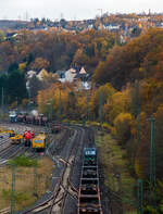 Die noch an die TXL - TX Logistik AG (Troisdorf) vermietete Siemens Vectron AC 193 203 (91 80 6193 203-7 D-ELOC) „HIDDEN CHAMPION“ (englisch für heimliche Gewinner oder unbekannte Weltmarktführer) der ELL Austria GmbH (European Locomotive Leasing, Wien), fährt am 13 November 2025 mit einem leeren Taschenwagenzug durch Betzdorf/Sieg in Richtung Siegen. Links im Rangierbahnhof werden Gleise erneuert.

Der Mieter TXL setzt nun auf eigene Vectron Loks, es wurden 40 modernen Vectron-Lokomotiven bei Siemens Mobility bestellt.

Die Siemens Vectron AC wurde 2014 von Siemens Mobility GmbH in München-Allach unter der Fabriknummer 21923 gebaut und an die der European Locomotive Leasing (Wien) geliefert. Diese Vectron Lokomotive ist als AC – Lokomotive (Wechselstrom Lok) in der Variante B01 mit 6.400 kW konzipiert und zugelassen für Deutschland und Österreich. So besitzt sie die Zugsicherungssysteme ETCS BaseLine 3, sowie für Deutschland PZB90 / LZB80 (CIR-ELKE I) und für Österreich (ETCS Level 1 mit Euroloop, ETCS Level 2, PZB90 / LZB80. 