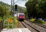 Die 101 138-6 (91 80 6101 138-6 D-DB) mit der kalten Siemens Vectron Dual Mode 248 507 (90 80 2248 507-6 D-DB) am Haken, beide der DB Fernverkehr AG, fahren am 09 August 2026 als Lokzug (Lz) durch Kirchen/Sieg in Richtung Siegen. 

Die 101 138-6 wurde 1999 von ADtranz (ABB Daimler-Benz Transportation GmbH) in Kassel unter der Fabriknummer 33248 gebaut. Die Vectron Dual Mode 248 507 wurde 2025 von Siemens Mobility GmbH in M�nchen-Allach unter der Fabriknummer 24053 gebaut und im Januar 2026 an die DB Fernverkehr AG ausgeliefert. 
