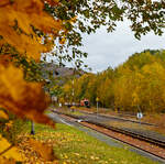 Herbstzeit in Herdorf....