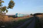 223 064 mit dem ALX84110 M�nchen - Hof bei Oberteich.