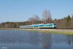 223 064 zieht den ALX84104 Hof - M�nchen s�dlich von Wiesau, n�chster Halt Weiden/Oberpfalz.