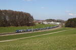 430 026 und 430 018 waren am 19. M�rz 2026 bei Axdorf im Chiemgau in Richtung M�nchen unterwegs.