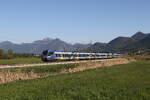 430 017 und 430 002 waren unterwegs nach M�nchen. Aufgenommen am 29. April 2026 bei Bernau am Chiemsee.