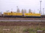 Das erste P�rchen is 203 313-2 und 203 312-4 in Eisenh�ttenstadt.