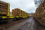 gatx-rail-germany-gmbh/760439/holztransport-im-siegerland-gewaltige-forstschaeden-an Holztransport im Siegerland: Gewaltige Forstschäden an dem kompletten Fichtenbestand durch den Borkenkäfer sind in der Region zu beobachten. Mit der Abholzung kommt man nicht hinterher. Hier in Siegen-Eintracht auf dem Betriebsgelände der KSW (Eisern-Siegener Eisenbahn NE 437) findet die Holzverladung der Region, von den LKW´s auf die Schiene, statt. 

Drehgestell-Flachwagen mit vier Radsätzen und Niederbindeeinrichtung, 37 80 4723 834-0 D-GATXD, der Gattung Snps 199 (GATX Typ 9430), der GATX Rail Germany GmbH, beladen mit Fichten-Rundholz abgestellt am 19.12.2021 in Siegen-Eintracht auf der Gleisanlage der Kreisbahn Siegen-Wittgenstein (KSW). 

Der Wagen, ist sehr neu, er wurde 2021 vom bulgarischen Hersteller Transwagon-AD (ТРАНСВАГОН АД) in Burgas (Bulgarien) unter der Fabriknummer 50493 gebaut. 

TECHNISCHE DATEN:
Gattung: Snps 199  (GATX Typ 9430)
Spurweite: 1.435 mm (Normalspur)
Anzahl der Achsen 4 (in 2 Drehgestellen)
Länge über Puffer: 22.860 mm
Drehzapfenabstand: 16.560 mm
Radsatzstand in den Drehgestellen: 1.800 mm
Laufraddurchmesser: 920 mm (neu)
Ladelänge: 21.620 mm
Ladefläche: 57,0 m²
Eigengewicht: 23.340 kg
Zuladung bei Lastgrenze S: 66,6 t (ab Streckenklasse D)
Max. Geschwindigkeit: 100 km/h (beladen) / 120 km/h (leer)
Kleinster Gleisbogenhalbmesser: 75 m
Bauart der Bremse: KE-GP-A  (K)
Bremssohle: C 810
Intern. Verwendungsfähigkeit: TEN-GE