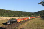 193 874 von  MRCE  mit einem Containerzug aus Gemnden am 8.