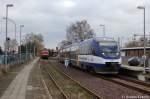 VT 0006 der OLA - Ostseeland Verkehr GmbH als MR51 (MR 68924) von Brandenburg Hbf nach Rathenow, verlsst hier den Brandenburger Hbf.