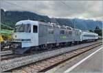 Die railadventure Re 6/6 91 85 4620 003-4 CH-RADVE brachte die beiden Stuttgarter S-Bahn Triebzüge 430 236 und 727 nach Villeneuve und wartet und auf die Rückfahrt.