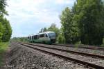 VT16 als VBG81118 Schwandorf - Marktredwitz bei Sch�nfeld.