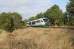 VT21 als VBG81127 Marktredwitz - Schwandorf bei Sch�nfeld.