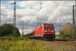 DB cargo 185 381-1 fuhr mit leeren Autotransportwagen am 09.09.2017 an dem bereits schon kräftig zugewachsenen Fotostandort an der Magdeburger Elbbrücke vorbei