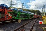 Offener vierachsiger Doppelstock-Autotransportwaggon 27 80 4371 560-8 D-TWA, der Gattung Laaers (TWA-Bezeichnung LAE3), TWA – TRANSWAGGON GmbH (Hamburg), am 24 Oktober 2026 im Zugverband, beladen mit Autos der bekannten Marke aus Ingolstadt, bei der Zugdurchfahrt in Betzdorf/Sieg in Richtung K�ln.

Der Wagen wurde 2017 von der ELH Waggonbau Niesky GmbH gebaut.

TECHNISCHE DATEN:
Gattung: Laaers 560 (TWA-Bezeichnung LAE3)
Hersteller: ELH Waggonbau Niesky GmbH, Baujahr 2017
Spurweite: 1.435 mm (Normalspur)
Anzahl der Achsen: 4
L�nge �ber Puffer: 31.000 mm
Achsabst�nde: 10.000 mm / 5.160 mm / 10.000 mm
Laufraddurchmesser (neu): 840 mm (au�en) / 730 mm (mittleren)
Ladel�nge: 30.070 mm (unten) / 30.550 mm (oben)
H�chstgeschwindigkeit: 100 km/h (120 km/h leer)
Eigengewicht: 32.000 kg
Nutzlast: 30,0 t bei Streckenklasse A, 32,0 t ab Streckenklasse B
Kleinster befahrb. Gleisbogenhalbmesser: 75 m
Bremse: KE-GP-A
Handbremse: Ja
Intern. Verwendungsf�higkeit: TEN-GE