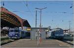 Heutzutage ist es eher die Ausnahme als die Regel im Regionalzugverkehr Lokbespannte Z�ge anzutreffen.