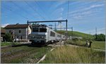 bb-22200-nez-cass/503160/die-sncf-bb-22-362-faehrt Die SNCF BB 22 362 fährt mit ihrem TER 96558 von Genève nach Lyon Perrache ohne Halt durch Russin. 20. Juni 2016