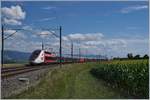 Der TGV Lyria 9261 von Paris Gare de Lyon nach Lausanne oberhalb von Arnex auf der Fahrt durch die hügligen Jurasüdfuss Landschaft.