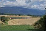 Der TGV Lyria 9261 von Paris Gare de Lyon nach Lausanne oberhalb von Arnex auf der Fahrt durch die hügligen Jurasüdfuss Landschaft.