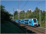 Die schöne, himmelblaue Computermaus ist von Grenoble nach Genève unterwegs und hat ihr Ziel schon fast erreicht. Der SNCF Z 24317, unterwegs als als TER 96605, konnte zwischen Russin und Satigny fotografiert werden. 

2. August 2021
