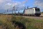 Am 8 Oktober 2026 wird RFO 186 003 mit ein ganz blauer Kesselzug auf den Weg nach Emmerich auf die Betuwelinie bei Valburg fotografiert. Bei Valburg gibt es einer nette 2,5 km langer Weg, der Hoge Brugweg, die der Fotograf nette Fotostellen entlang d ...