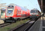 Am Morgen des 08.08.2025 traf 445 005 auf 218 497 im Rostocker Hbf.