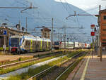Die an die BLS Cargo / Crossrail Benelux vermietete X 4 E – 713 / 193 713-5 (91 80 6193 713-5 D-DISPO) der MRCE Dispolok GmbH (München) erreicht am 07 September 2021 mit einem Ralpin-Zug (Rola-Zug) aus Novara kommend den Rbf Domodossola. Nach der Erledigung der erforderlichen Formalitäten (in Domo ist ja der Netzwechsel zwischen FS (Italien) und SBB (Schweiz)) und Personalwechsel, sowie ggf. Lokwechsel, geht es dann später via dem Simplon-Tunnel nach Freiburg im Breisgau.

Diese Rola-Züge sind für den Transport von Last- und Sattelzügen im begleiteten Verkehr, einer Form des kombinierten Ladungsverkehrs, vorgesehen und kommt in alpenquerenden Shuttlerelationen zum Einsatz. Dabei fahren Lastkraftwagen in speziellen Terminals direkt von der Straße über eine Rampe auf den Wagen, um vom Ausgangsort zum Ziel transportiert zu werden. Der Fahrer zieht sich in einen speziellen Begleitwagen mit Liegeabteilen zurück, fährt am Zielort weiter und liefert die Ware sicher beim Kunden ab. Diese Form des kombinierten Verkehrs von Schiene und Straße – Rollende Landstraße (ROLA) – gewinnt, nicht zuletzt aufgrund von gesteigertem Verkehrsaufkommen und Umweltbewusstsein, immer mehr an Bedeutung.

Die Lok konnte ich aber auch schon auf der Siegstrecke sehen, siehe: http://hellertal.startbilder.de/bild/deutschland~strecken~kbs-460-siegstrecke/806620/die-an-die-bls-cargo-.html
