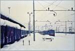 Domodossola/919867/ziemlich-viel-feuchter-schnee-blockierte-in Ziemlich viel feuchter Schnee blockierte in Domodossola den Bahnverkehrt. Ich kam von Firenze (mit dem Nachtzug) und genoss die ungew�hnliche Szenerie, dann aber eher weniger die Weiterfahrt mit dem Beograd-Express nach Brig, der als erste Zug Domo verliess und akustisch wie vom Geruch her etwas gew�hnungsbed�rftig war. 
Analogbild vom 2. Februar 1986 