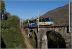 Der zweite des Tages: Der SSIF  Treno Panoramico Vigezzo Vision  D 47 P unterwegs von Domossola nach Locarno auf dem Rio Graglia Viadukt.
31. Okt. 2014
