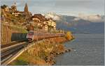 Bei St-Saphorin ist ein FS Trenitalia ETR 610 als EC 142auf der Fahrt von Domodossola nach Gen�ve, leider mit offener Schnauze.
