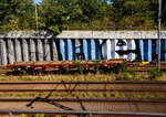 Zwei vierachsige Drehgestellflachwagen mit Drehrungen und Aufsetzzapfen f�r Container, 86 83 3669 395-7 I-MIR und 86 83 3669 846-9 I-MIR, der Gattung Rgmms, der Mercitalia Rail Srl, umgebaut zu Kuppelwagen (Kupplungsadapterwagen), sind am 23 Septembe ...