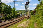 Bahnhof Kirchen an der Sieg am 06 Mai 2025:
Rechts auf Gleis 2 hält der HLB VT 504 (95 80 1648 104-5 D-HEB / 95 80 1648 604-4 D-HEB), als RB 93 'Rothaarbahn' von Betzdorf nach Erndtebrück. Links auf Gleis 1 fährt die 193 921 (91 80 61 ...