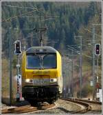 Wenn man im Begriff ist, Eidechsen an der Bahnstrecke zu fotografieren, gelingt einem nur eine Frontalansicht der 3005 in der Nhe von Wilwerwiltz. 27.03.2012 (Jeanny)