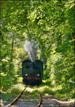 . Museumsbahn Train 1900 - Der Dampfzug k�mpft sich durch die Vegetation in der N�he von der Kreuzungsstelle Fuussb�sch auf ihrer Fahrt von P�tange nach Fond de Gras. 02.06.2013 (Jeanny)

Noch einige Informationen zur Dampflok: 
Hersteller: Hannoversche Maschinenfabrik - Georg Egestroff (sp�tere HANOMAG) 
Fabriknummer: 3431
Baujahr: 1899
Typ: (020 T) B2nt
Herkunft: ARBED-Differdange

Da sie im Jahr 1900 nach Luxemburg und nach ihrer aktiven Zeit in der ARBED H�tte in Differdange im Jahre 1973 als erste Dampflok zum Verein AMTF kam, war sie im Grunde die Namensgeberin der Museumsbahn Train 1900.
