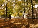 Herbstfarben Lange Voorhout, Den Haag 07-10-2018.