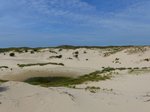 Dne Meijendel, Wassenaar 24-07-2016.

Duinen Meijendel, Wassenaar 24-07-2016.