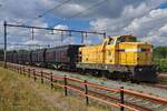 OOC Rail 2284 004 MONIQUE (ex-Strukton 303004, davor ex-HGK) steht in Oss vor ein aus Kijfhoek angekommener Getreidezug (mit geschlossene Laude-Containers statt die �bliche provisorisch abgedekcte offene wagen der Typ Eanos) am 10 Augustus 2026. MONIQUE tragt noch die Struktonfarben, hat das typische Struktonnummer 303004 jedoch verloren und ist als 2284 004 unterwegs. 