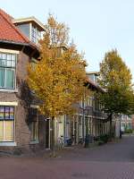 Cathrijnestraat, Leiden 25-10-2015.